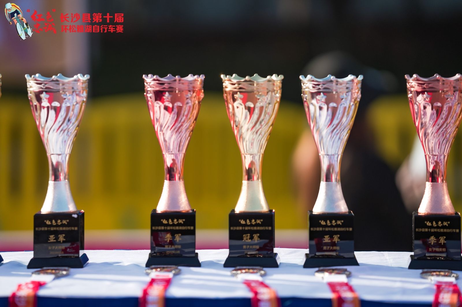 湖南乐鱼leyu体育管理有限公司